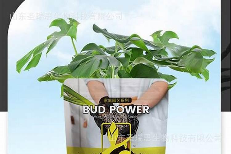 农用三元复合肥养花能用吗 硫酸钾复合肥能浇花吗
