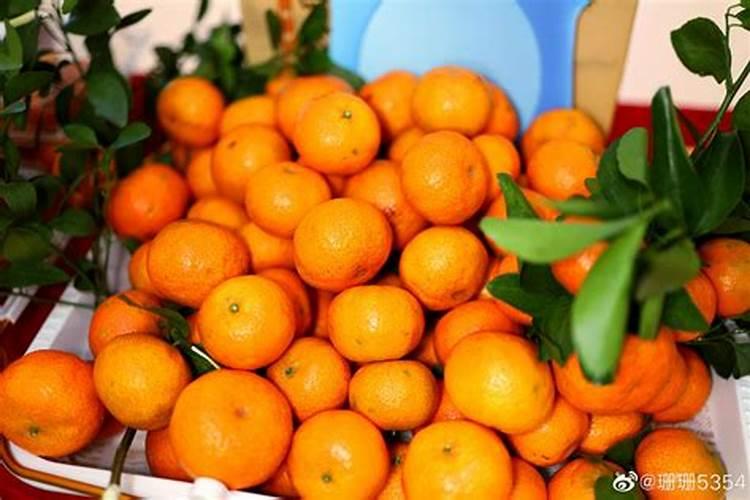 挂果沙糖桔怎样施肥 用什么肥料效果好