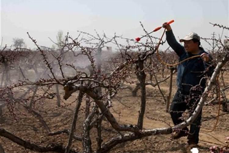 黄腐酸钾最佳使用方法