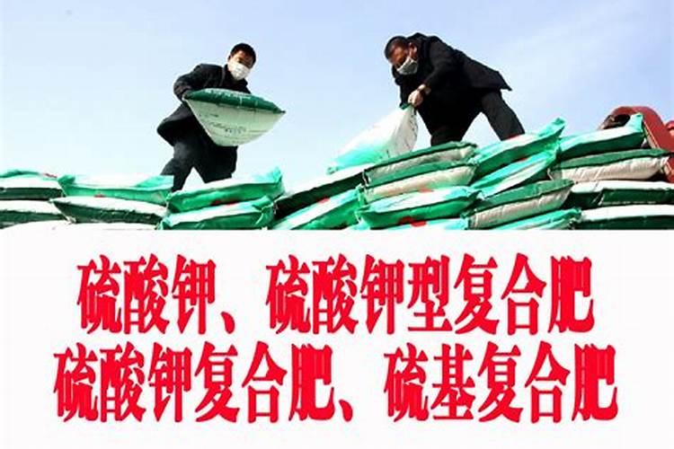 绿萝浇什么水才能长得更旺盛