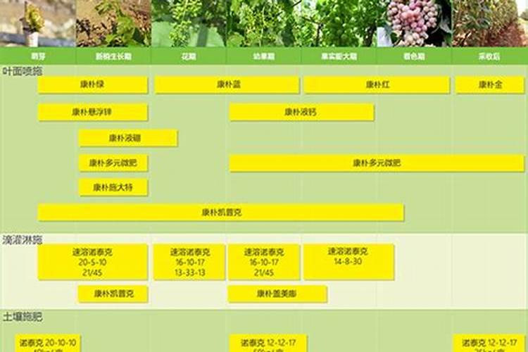 葡萄种植不同时期如何追肥