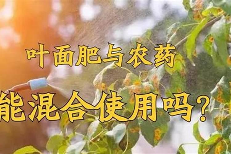 车厘子树苗用什么肥