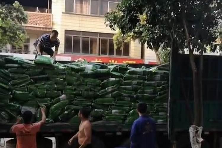 葡萄品种有哪些 哪个葡萄品种最好
