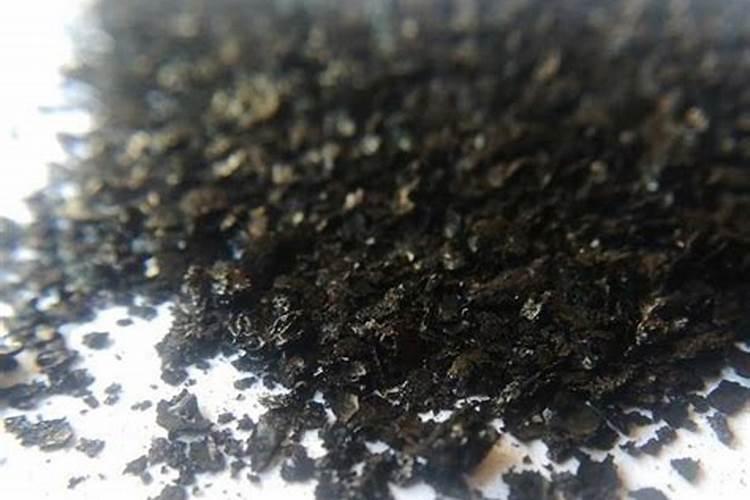 桃树黄叶病用什么药效果好