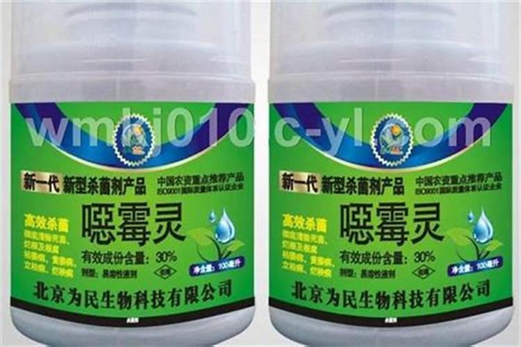 大蒜黄叶是什么病用什么药