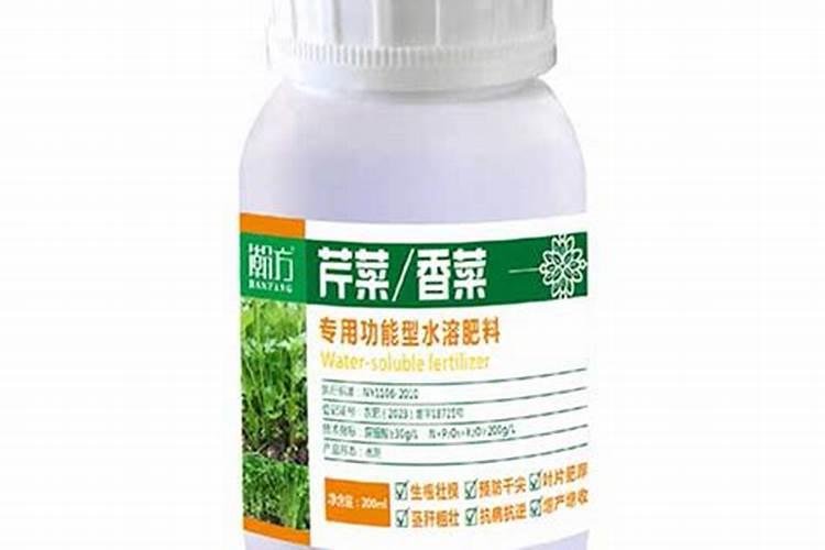 种植香菜的时间与方法