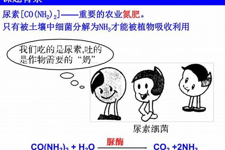 尿素是氮肥吗