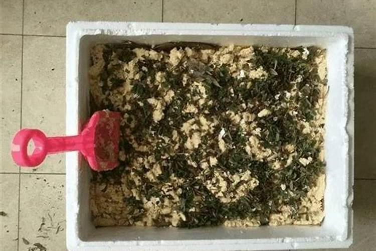 废茶叶可以做肥料吗