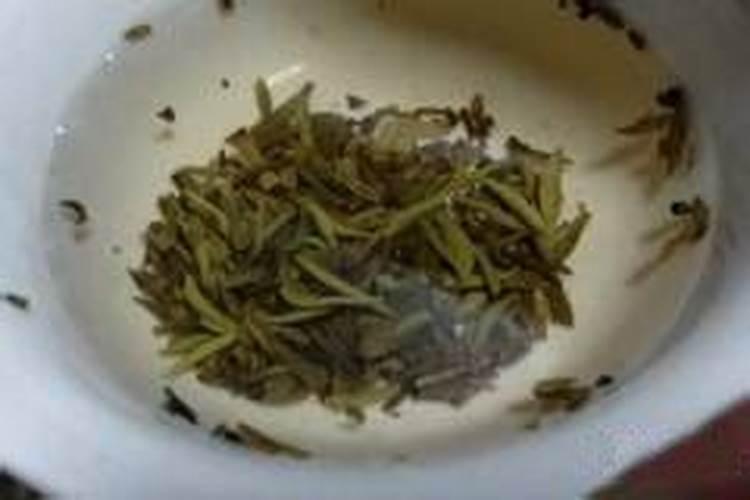 废茶叶可以做肥料吗