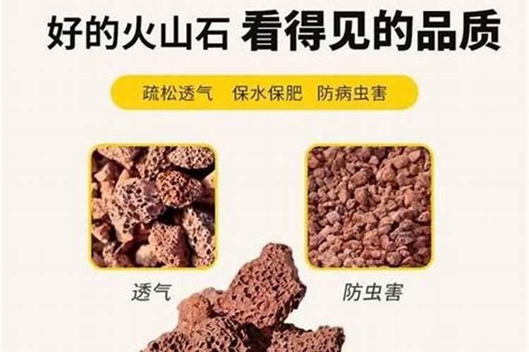 火山石拌土伤根吗？