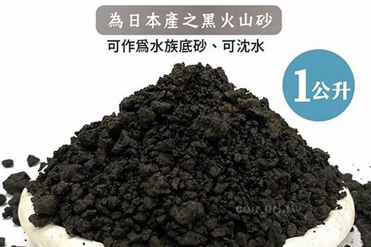 仙人掌适合什么土壤生长