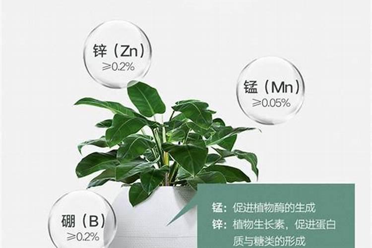 叶面肥叶连根是酸性吗还是碱性