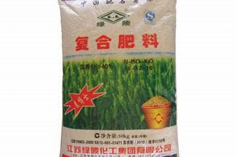 猫爪草种植好种吗