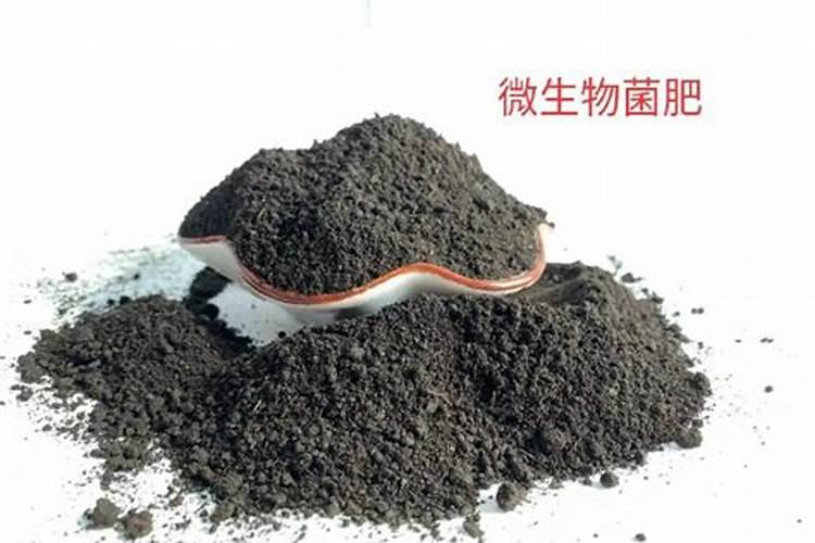 氮肥的施用有哪些要求？