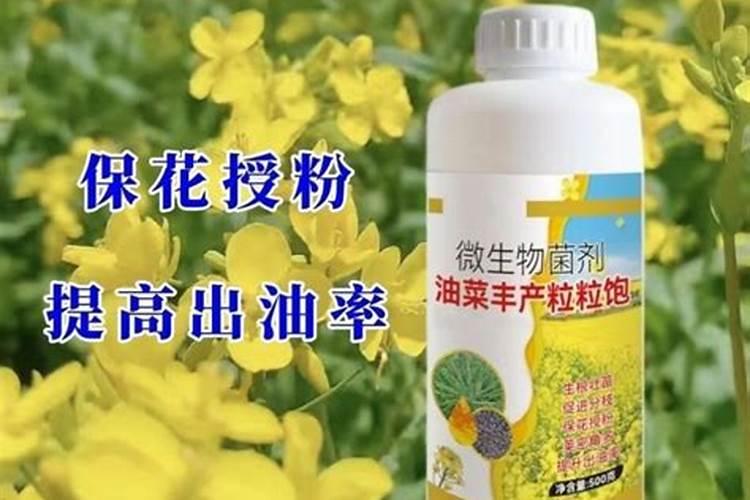 油菜叶面肥的最佳配方花卉百科