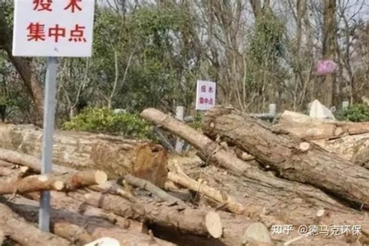 树枝沤肥方法 如何使用树枝做肥料