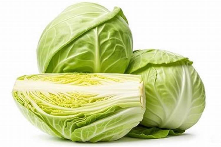 包心菜施什么肥最好