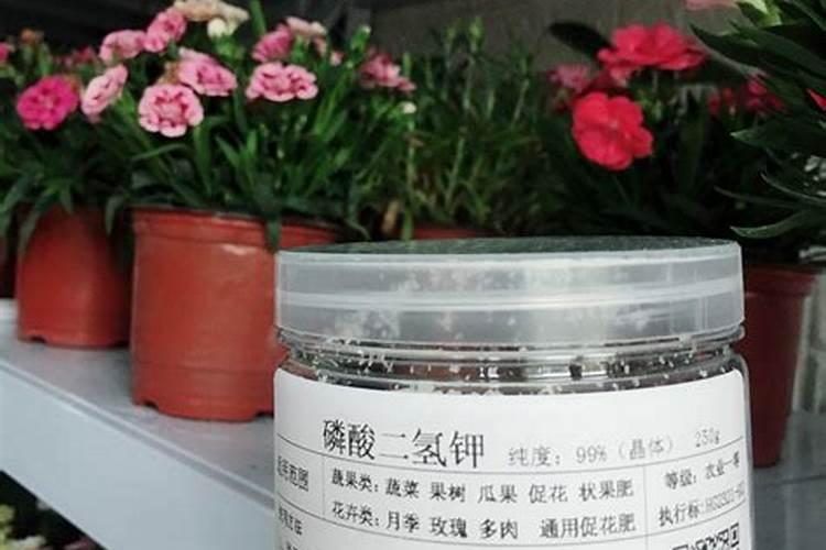 多肉可以用水溶肥吗？