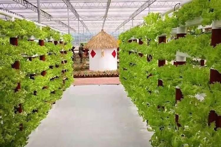 无土栽培蔬菜有几种营养液配方？具体数据？