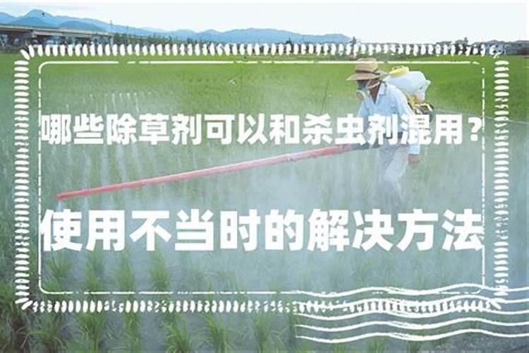 打西瓜地除草剂可以加硼肥吗？