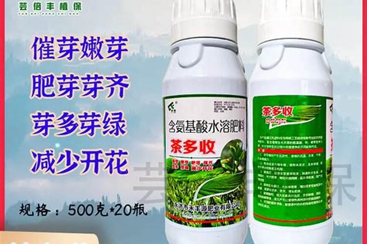 茶叶叶面肥催芽肥的正确使用