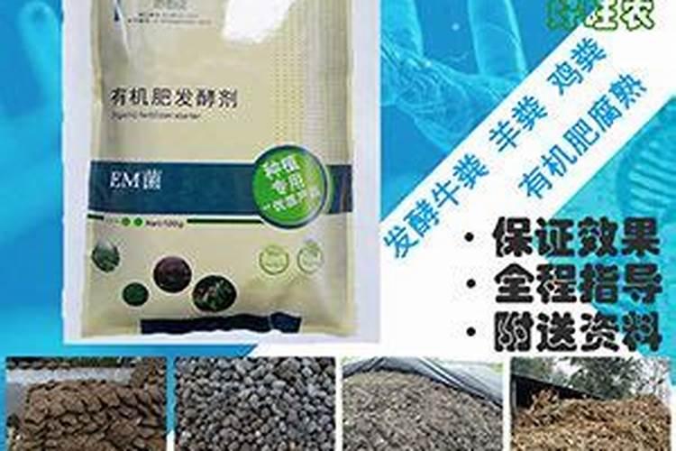 辣椒开花坐果期施什么肥最好