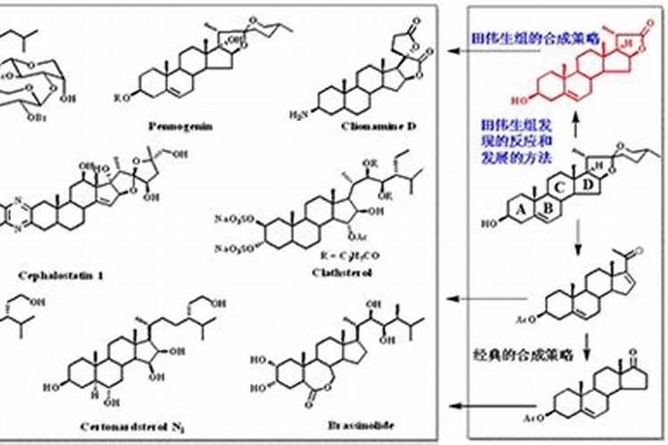 芸苔素内酯的分类和作用