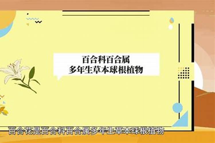 百合花怎么施肥,这样施肥长势超好!