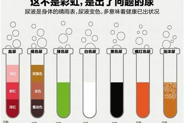 猪尿液怎么处理能作肥水？