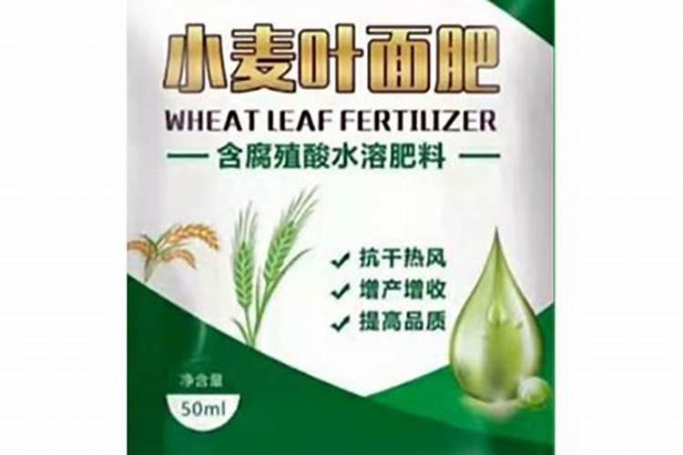 葡萄秋季管理怎么施肥