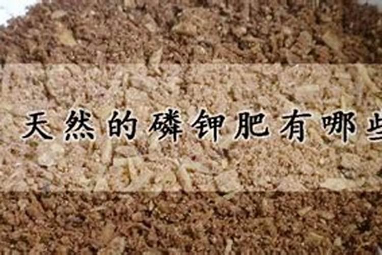 什么是磷肥 天然的磷钾肥有哪些