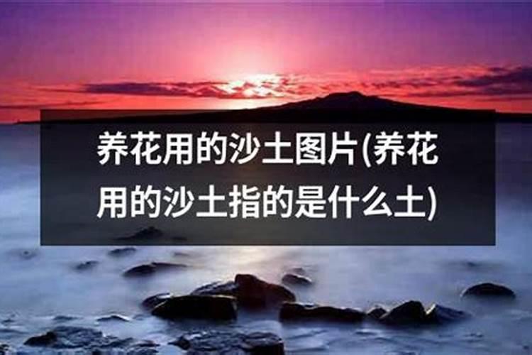 怎么在家自己制作养花用的肥料