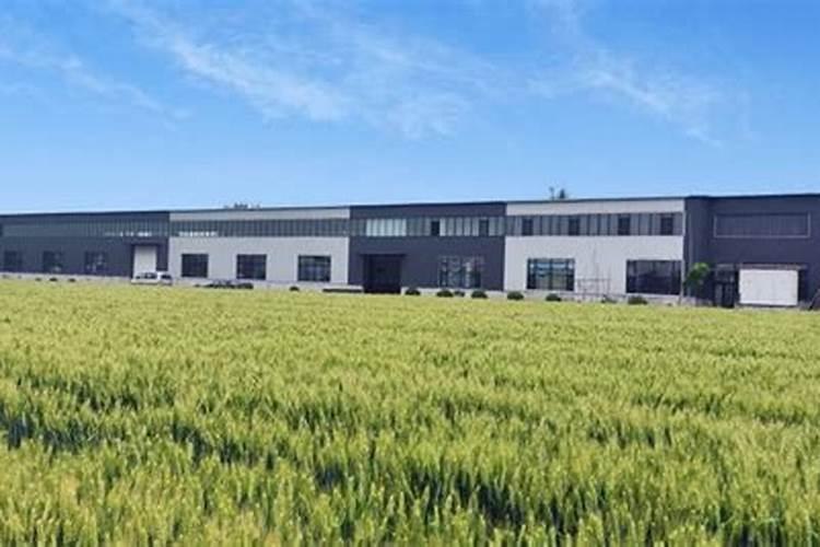 多肉专用肥在哪里可以买到