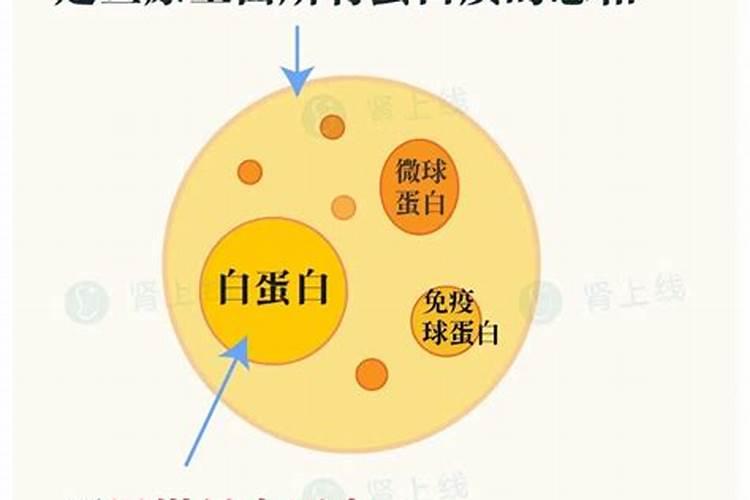 鱼精蛋白不良反应