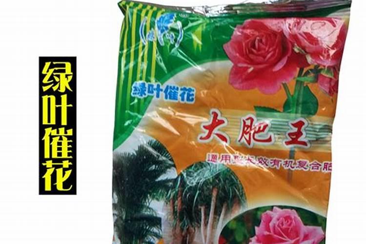 养花别光浇水,记住施肥口诀,根肥叶绿开花多
