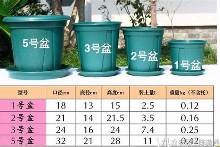 一盆花放几粒复合肥
