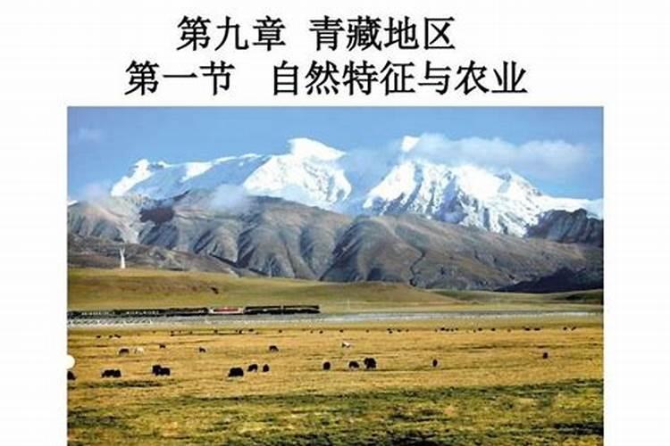 错过了秋施肥,春季应如何补救黄土高原产区苹果？