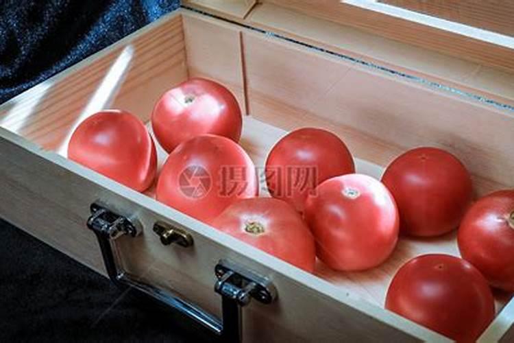 种西红柿用什么肥料最好