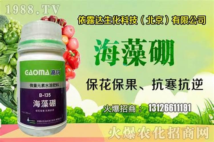 韭菜采收后施什么肥料长得快