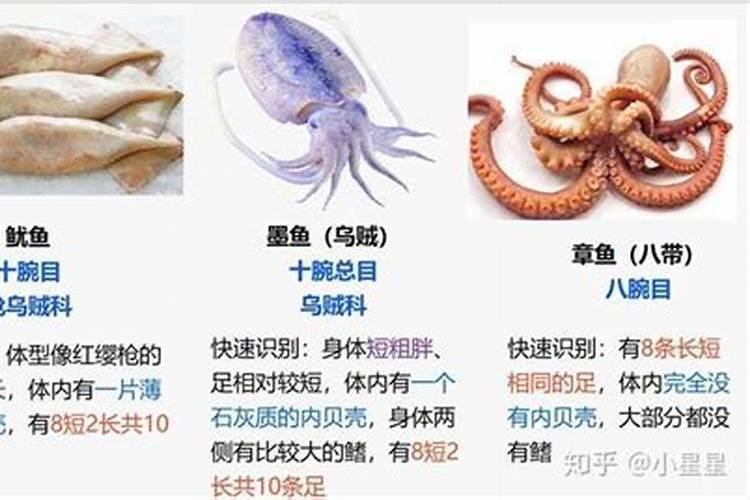 你吃的甲鱼可能有问题,怎么辨别甲鱼的真假？