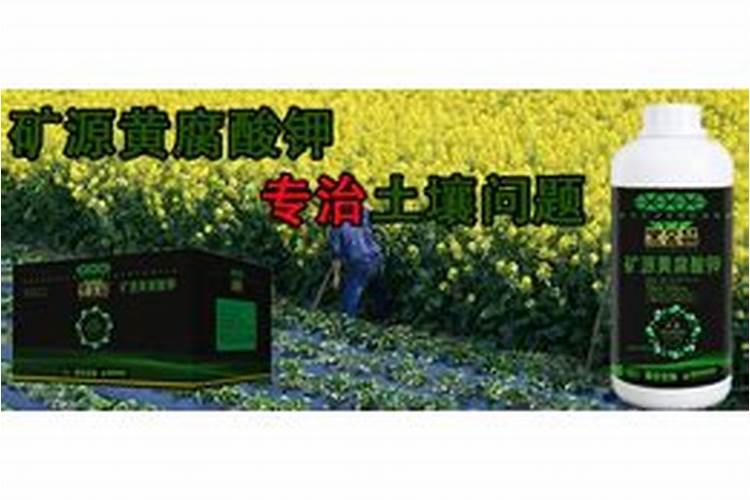 矿源黄腐酸钾效果慢是怎么回事？矿源黄腐酸钾到底好不好
