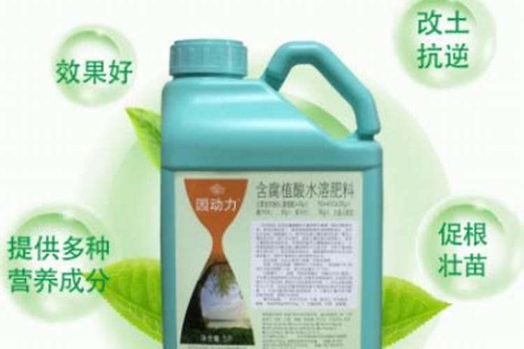 国光根宝使用方法