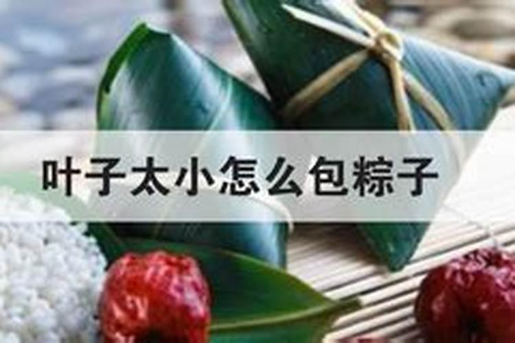 冬季种植什么蔬菜,适合冬季种植蔬菜有哪些？