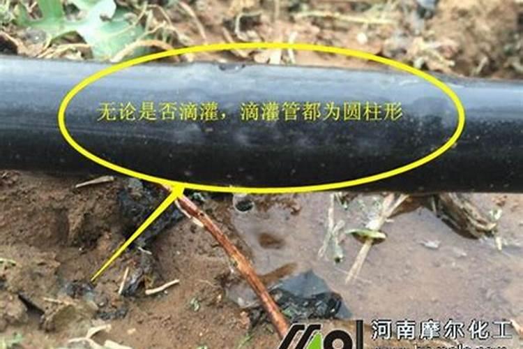 水溶肥用法和用量
