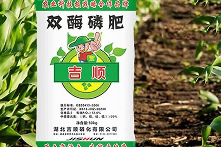 中国五大磷肥基地？