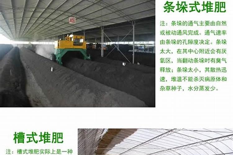 西瓜膨果期用什么肥料
