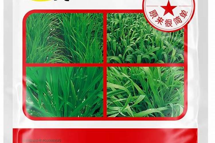 小麦叶面肥什么牌子最好