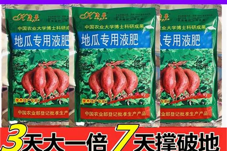 家里的果树到了膨果期了,该施什么肥？