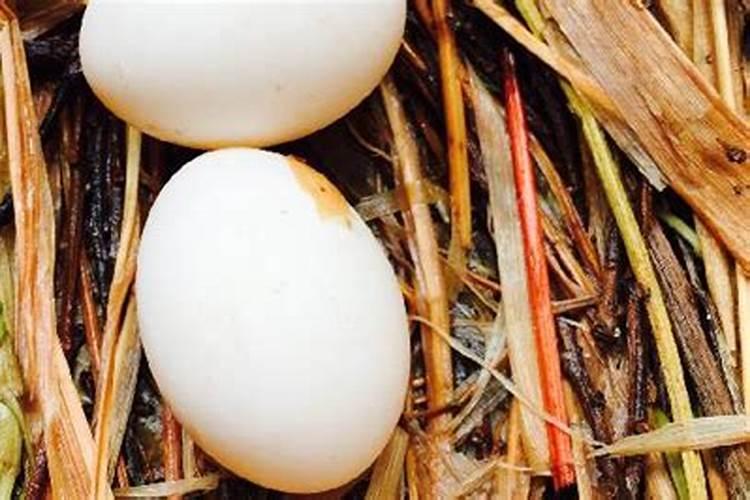 非蛋白氮在反刍动物饲料中应用的原理是什么？