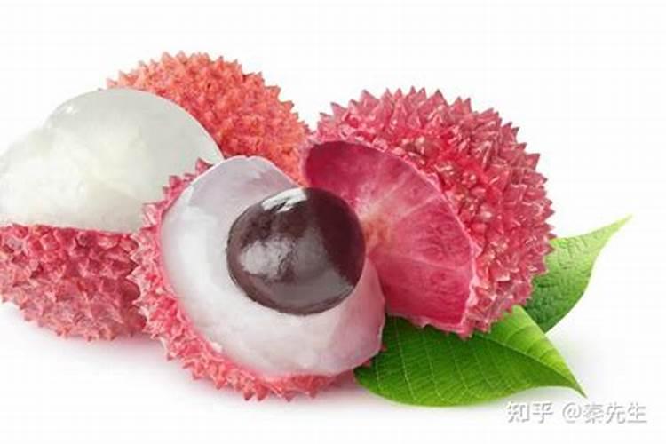 荔枝生长需要的营养